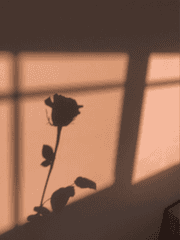 길지 않은 이야기