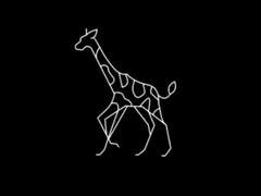 썰 [카쿠재브] 모음