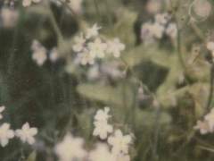 처음 느낌 그대로 남은 너