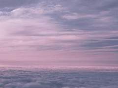 염원하며 달리는 달빛!