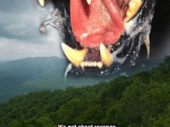 2H194) 독 솔져 2 (Wilderness, 2006)