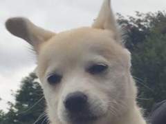 언젠가 내 이름이 잊힌대도