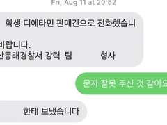 디에타민 팔고 걸린 후기 완전 자세히
