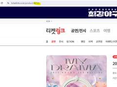 정상작동하는 티켓링크 직링 판매 (에스파 직링 판매)