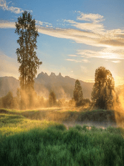 [자작쿠키 스토리] 세상에서 제일 빠른 반쿠반수