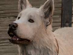 발더스 게이트 3