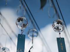 추위 속에서 온기를 찾아