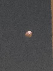 친구 보여주려고 만든 지름작