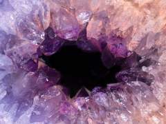 그림자 아래 꽃잎은 색을 알아볼 수 없다.