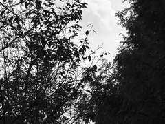 [쩜오디 개인봇 주성철 모심글]