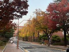 [100] 10/27 성큼 다가온🍂