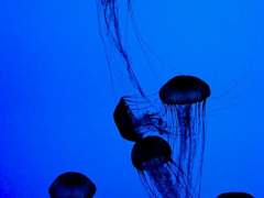 <워터랜드> 이용안내서