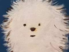 1029는 씩씩한 아기 강아지의 생일