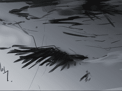 성공적인 은퇴를 위하여 12화