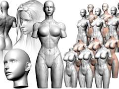 토르소+헤드+오토액션 [ 여성 3인 토르소셋트]