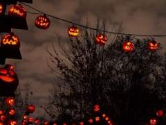 [루카이렌] Happy Halloween