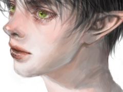 메이플 연성 백업