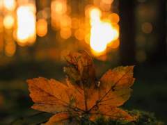 [소을]대화가 필요해