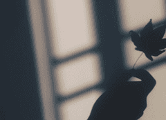 그림자들의 친구