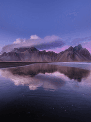 자유를 향한 혁명