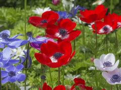 내 곁에 있어줘서 고마웠어.