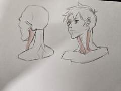 2023년 10월 28일 (토) <해부학>