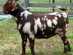 00. Little butterfly