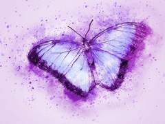 너는 나의 봄 - 2 (Butterfly)