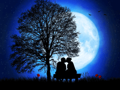 The First Kissing day in Wonderland