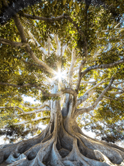 이상하고 아름다운