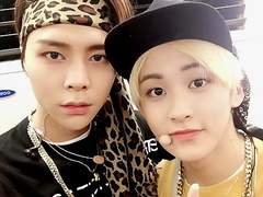 냥냥월드에 오신 걸 환영합니다 (중)