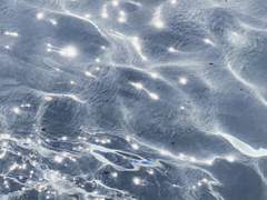 왜그랬냐면 말이야···