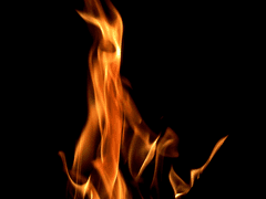 {어그로우 플동부 팬소설}