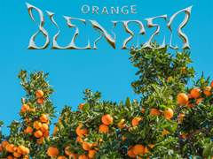 ORANGE BLENDED 제작기 - 01. 컨셉