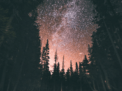 [전독시] 프로게이머 유중혁X 시한부 아이돌 김독자(1)