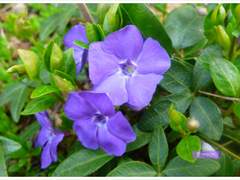 당신에게 전하고 싶은 말