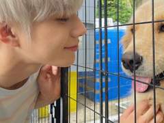 쟤 강아지랑 쌈박질한대 TALK