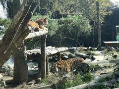 [랑구] 10월 29일 :