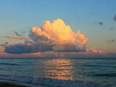 노을과 닮은 나의 찬란한 햇살에게