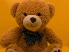 [모비딕 전력] 세 번, 통행료 미납