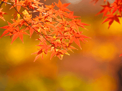 6. Don’t say Sorry