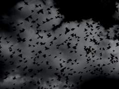 당신이 계신 곳은 주술회전 세계관이 아닙니다.