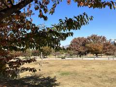 여의도 ~ 용산구 산책