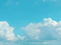 4교시는 청춘입니다.