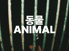 윤슬 - 팬뮤직비디오