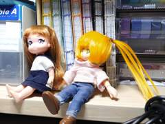 아늑한 세상에서 찰칵찰칵