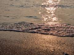 하시의 관성 (2)