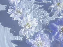 당신은 나의 여름이에요.