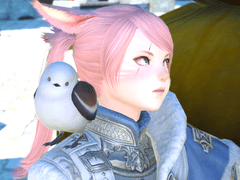 할수있는것:서둘러기다리기