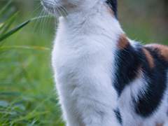 💐Lacquer Star💐